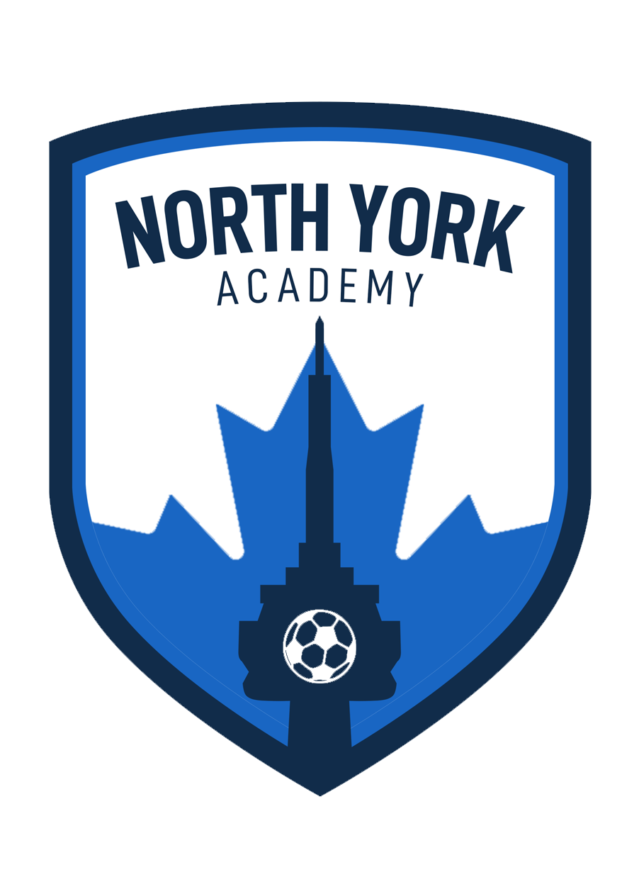 NY Academy Logo
